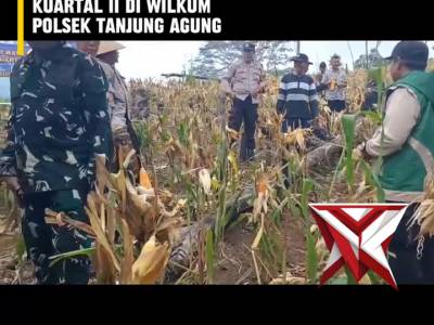 CE 4. ? Panen Raya Jagung Serentak Kuartal II ?