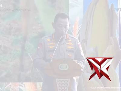 Panen Raya Jagung
