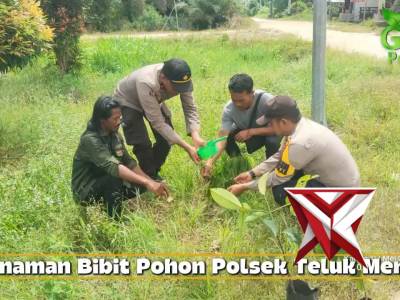 Penanaman Bibit Pohon Polsek Teluk Meranti