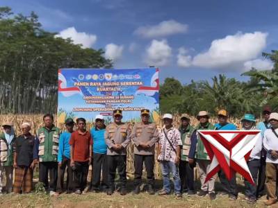Panen Raya Jagung Serentak Kuartal II Polres Lumajang