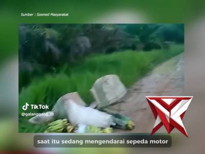 PRESS RELEASE UNGKAP KASUS DAN PENANGKAPAN PELAKU BEGAL DI MESUJI RAYA POLRES OKI HADIR