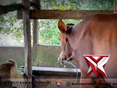 2429 Polri Untuk Masyarakat - PoliceTube