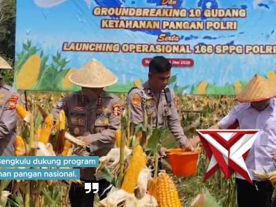 Dari Polda Bengkulu Untuk Ketahanan Pangan, Panen Raya Jagung Kuartal II 2026 Di gelar