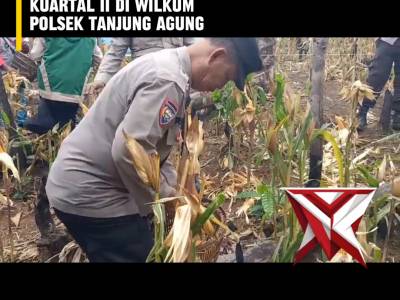 BTA 10. ? Panen Raya Jagung Serentak Kuartal II ? - PoliceTube