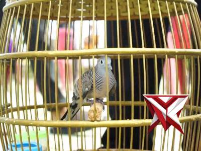 Kapolres OKI Cup dalam rangka hari Bhayangkara