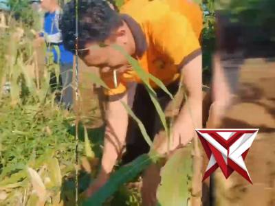 Polsek Ratu Agung Laksanakan Gotong Royong di Lahan Jagung Polsek Ratu Agung Kuartal III Tahun 2026