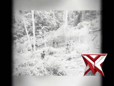 Ditresnarkoba Polda Sumsel sukses membongkar ladang ganja seluas 20 hektar di Desa Batu Jungul, Juma - PoliceTube