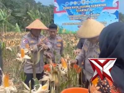 Panen jagung serentak Kuartel II 2026 Polda Bengkulu