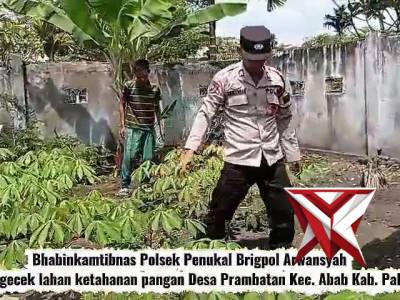 Bhabinkamtibmas Polsek Penukal Cek Lahan Ketahanan Pangan di Desa Prambatan Bersama Warga - PoliceTube