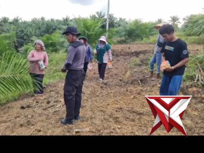 Monitoring Lahan Ketahanan Pangan