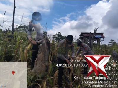 JP 3. Pengecekan lahan jagung dalam rangka Persiapan Panen Jagung Serentak Kuartal 1 Tahun 2026