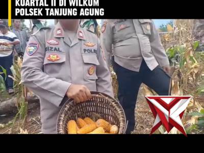 BD 7. ? Panen Raya Jagung Serentak Kuartal II ?