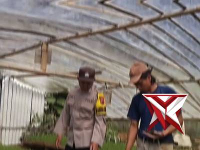 Bhabinkamtibmas Polsek Bawang Sambang Ketahanan Pangan Warga, Dukung Program Nasional