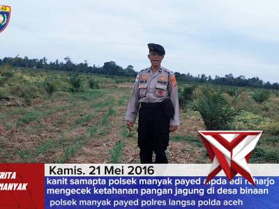 Kanit Samapta Aipda Edi Raharjo Mengecek Ketahanan Pangan Jagung Desa Binaan