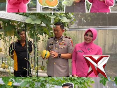 ? Panen Melon P2L, Kebersamaan Penuh Kehangatan ?
