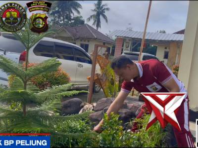 GIAT BELIDA POLSEK BP PELIUNG - PoliceTube