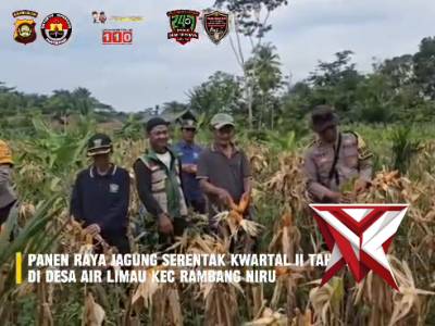 *PANEN RAYA JAGUNG SERENTAK KUARTAL II POLRES MUARA ENIM*