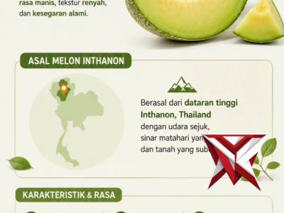 ? Panen Melon P2L, Kebersamaan Penuh Kehangatan ?