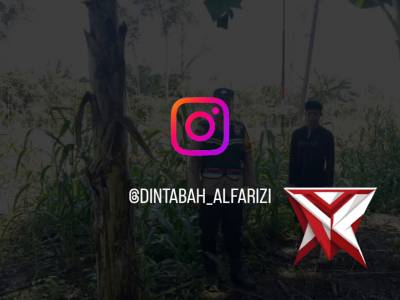 Giat pengecekan ketahanan pangan