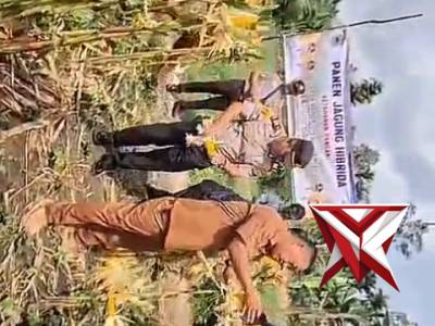 Panen Raya Jagung di Desa Mangku Negara Dukung Ketahanan Pangan - PoliceTube