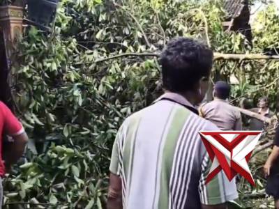 evakuasi pohon tumbang yang menimpa rumah milik warga