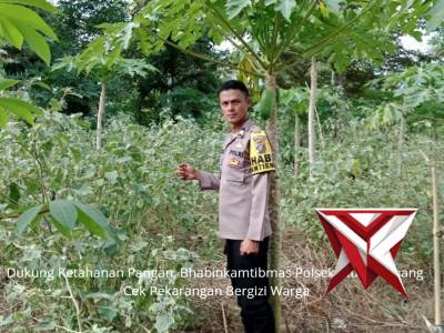 Pengecekan Ketahanan Pangan Milik Warga Oleh Bhabinkamtibmas Polres Empat Lawang - PoliceTube