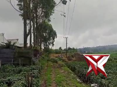 Patroli siang