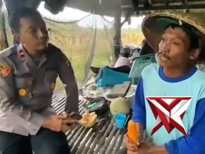 Panen Jagung - PoliceTube