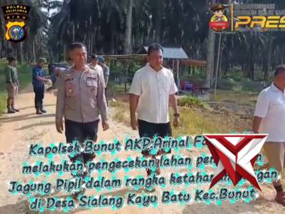 Kapolsek Bunut Melaksanakan Pengecekan Lahan Penanaman Jagung Pipil