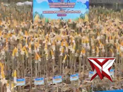 ??? Wujud Nyata Dukung Swasembada Pangan Nasional 2026 ???