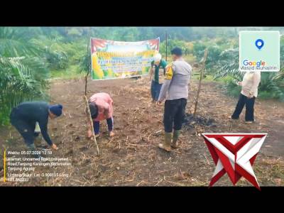 Mi 9
Bhabinkamtibmas Polsek Tanjung Agung melakukan penanaman benih jagung di desa binaan