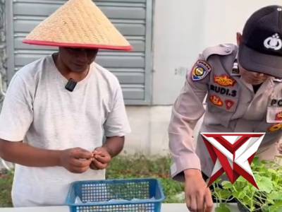 Budidaya Buah Melon Smart Farming - PoliceTube