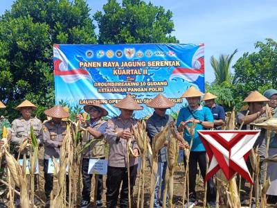 *PANEN RAYA JAGUNG SERENTAK*