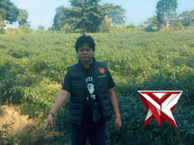 giat sambang cek ketahanan pangan pekarangan milik warga Kec.Jejawi Kab.OKI