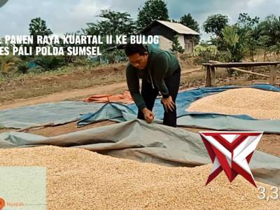 Panen Raya Kuartal II Bulog Bersama Polres PALI Dukung Ketahanan Pangan dan Stabilitas Stok Beras

D