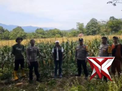 Bhabinkamtibmas Polsek Semendo cek lahan ketahanan pangan di desa binaan Pagar Agung Kec.SDL