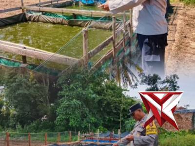 Giat Ketahanan Pangan Polsek Pampangan - PoliceTube