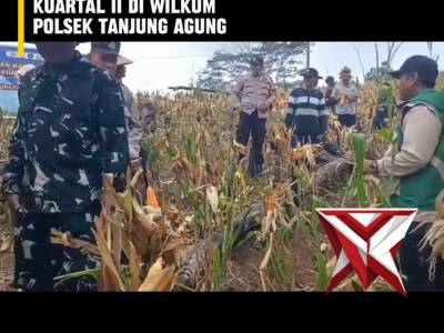 AZA 9. ? Panen Raya Jagung Serentak Kuartal II ?