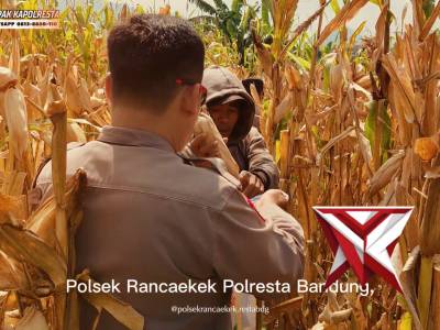KETAHANAN PANGAN POLSEK RANCAEKEK POLRESTA BANDUNG