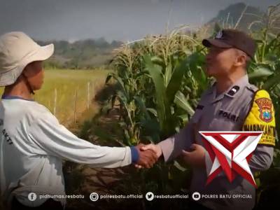 SAMBANG PERKUAT KETAHANAN PANGAN