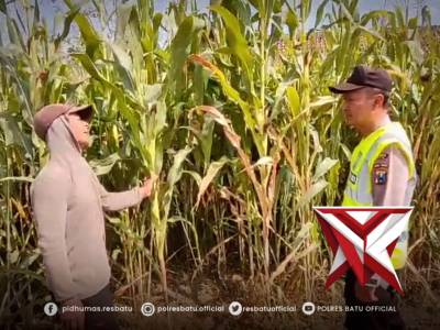 BERSAMA PETANI WUJUDKAN KETAHANAN