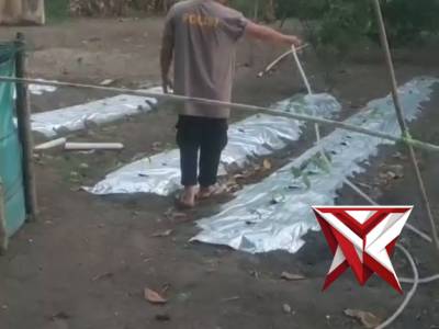 Bhabinkamtibmas polsek rantau alai  polres ogan ilir melaksanakan penanaman bibit terong dan cabe